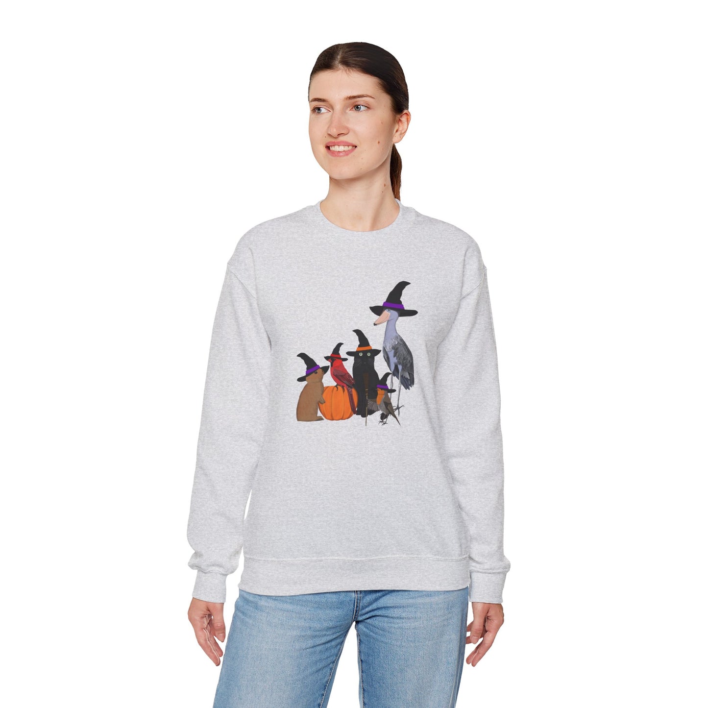 Robin Shoebill Cardinal Rabbit with Cat Happy Halloween Birds Sweatshirt