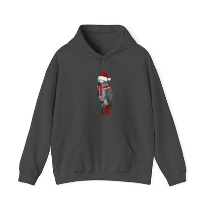 Grey Parrot Christmas Bird with Santa Hat Birdwatcher Birdlover Hoodie