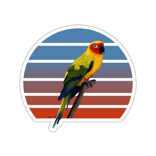 Sun Conure Bird Sticker