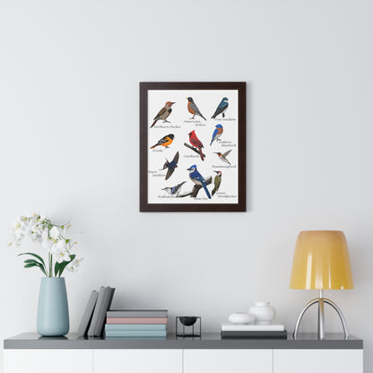 Backyard Birds Blue Jay Robin Cardinal Nuthatch Oriole Framed Poster