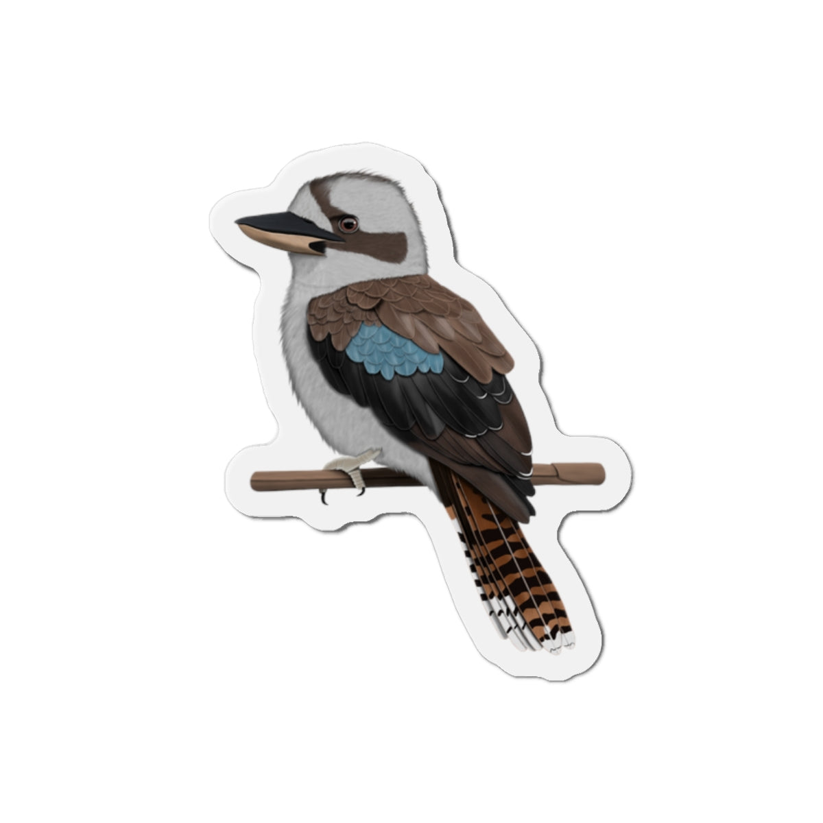 Kookaburra Bird Magnet