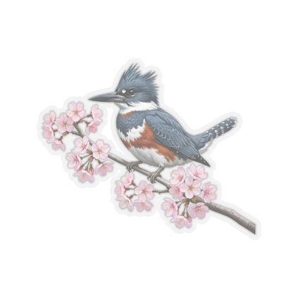 Belted Kingfisher Stickers on bird sticker background