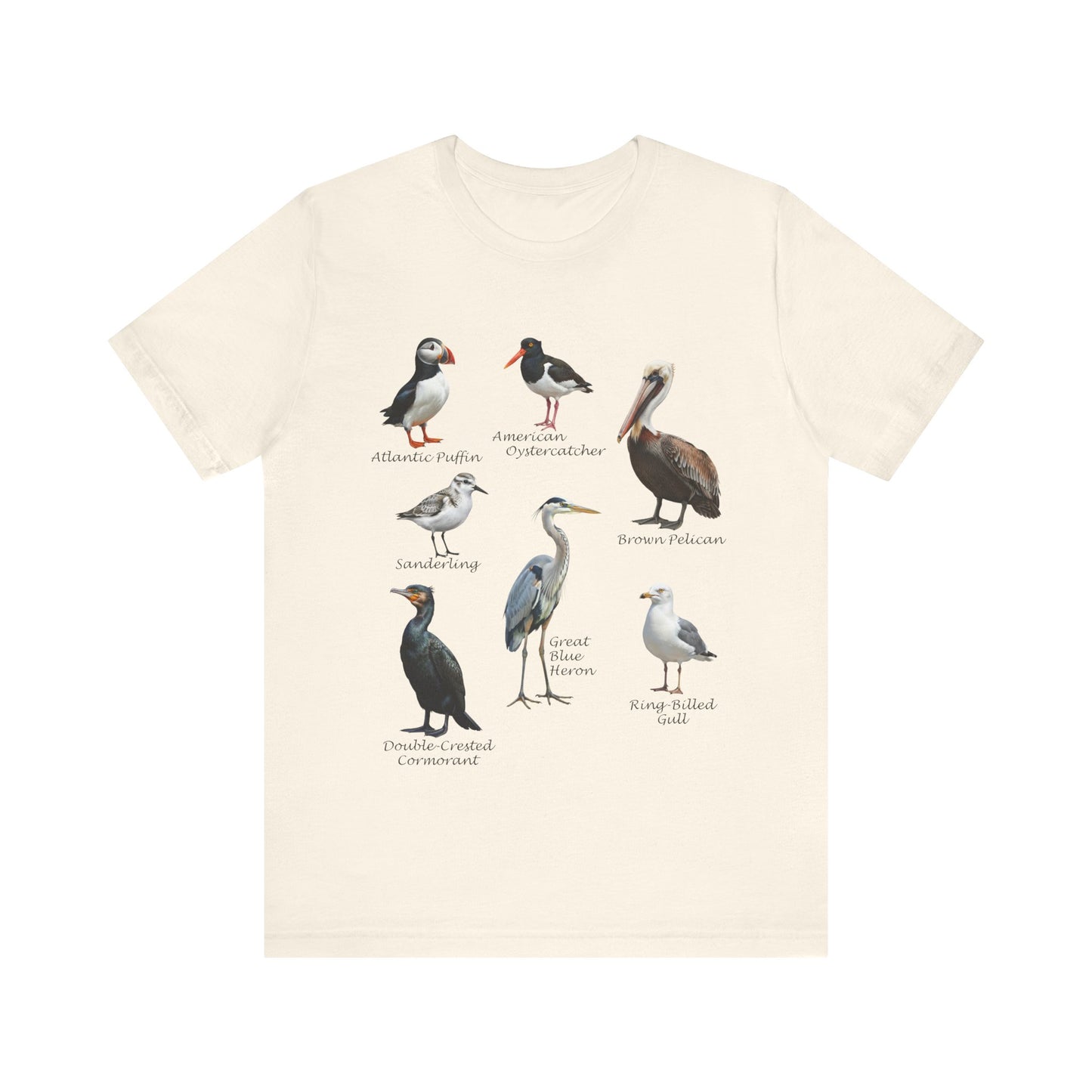 North American Shorebirds Shirt – Pelican, Heron, Puffin & Gull Field Guide