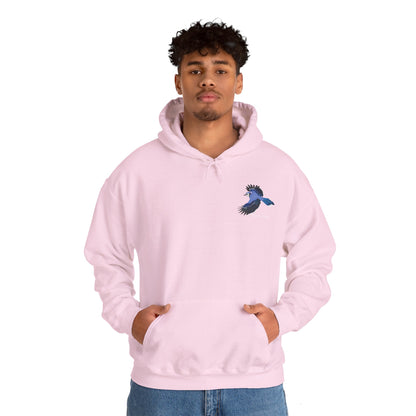 Blue Jay Birding Birdwatching Bird Hoodie