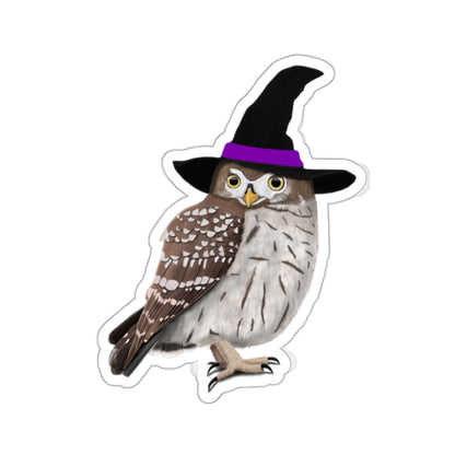 Owl Halloween Witch Hat Bird Sticker