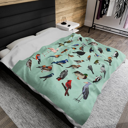 Blue Jay Cardinal Robin Bluebird Hummingbird Oriole Backyard Birds Velveteen Plush Blanket Green