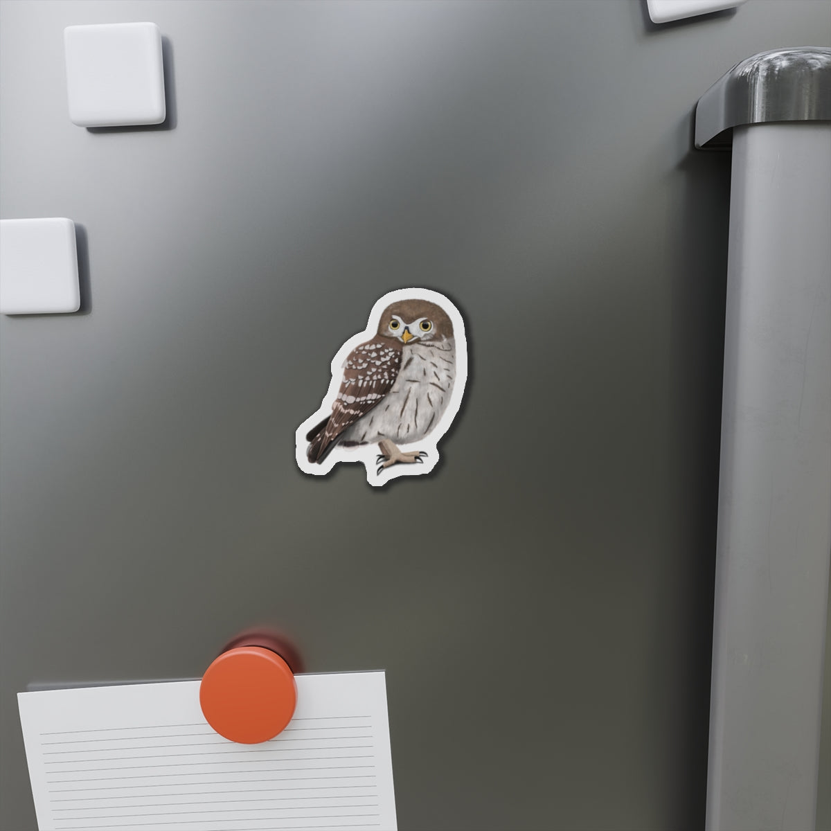 Little Owl Bird Magnet