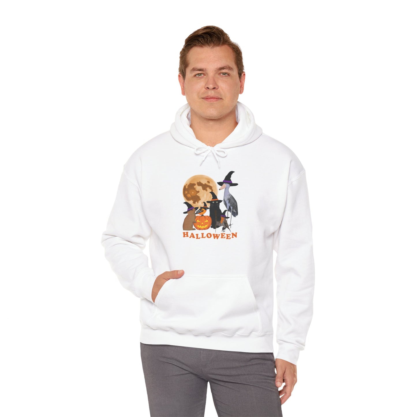 Baltimore Oriole Robin Shoebill with Cat and Bunny Halloween Bird Hoodie