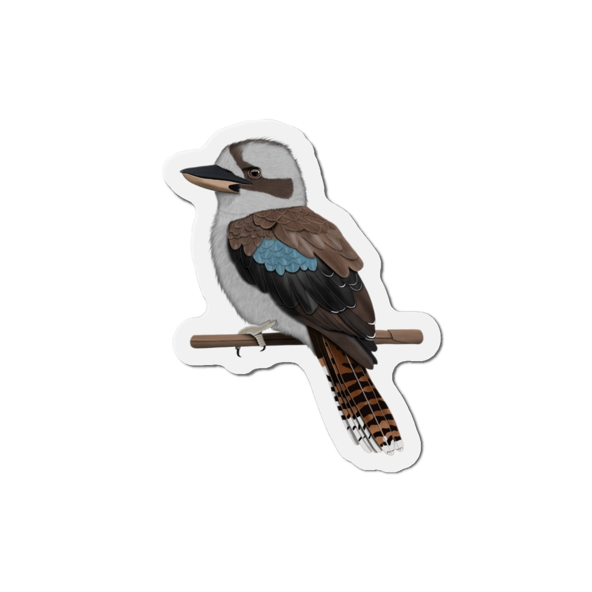 Kookaburra Bird Magnet