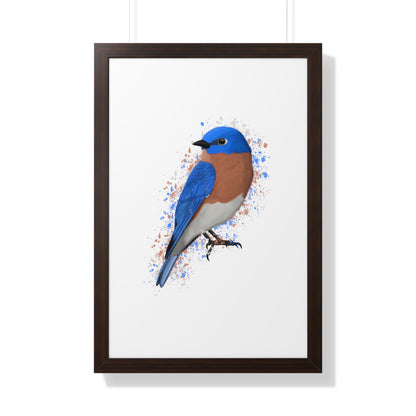 Bluebird Bird Framed Poster