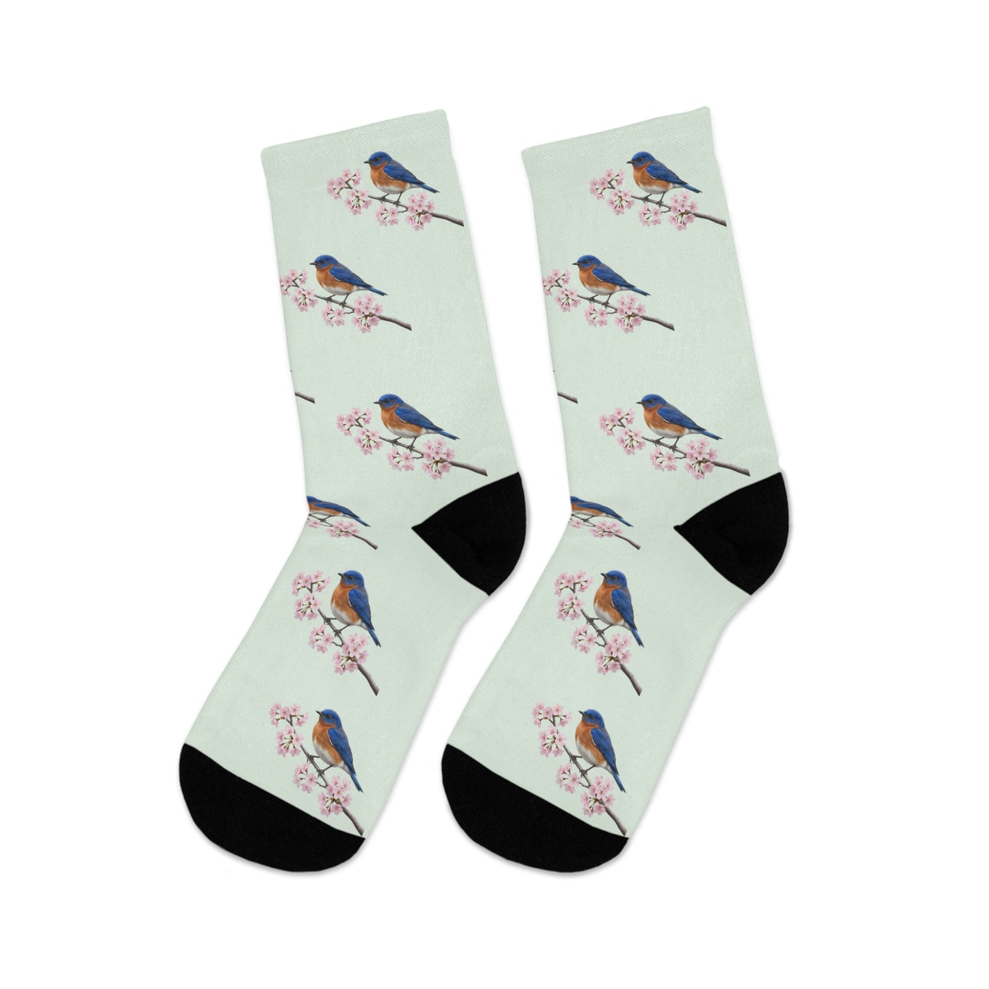 Bluebird Socks on Accessories background