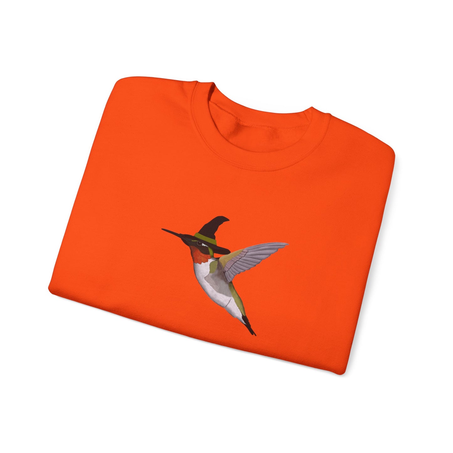 Hummingbird Halloween Birds Witch Birdwatcher Sweatshirt