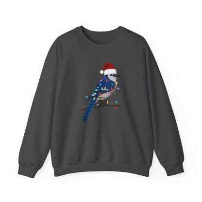 Blue Jay with Fairy Lights Santa Claus Christmas Bird Sweatshirt