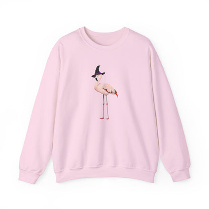 Flamingo Halloween Birds Witch Birdwatcher Sweatshirt