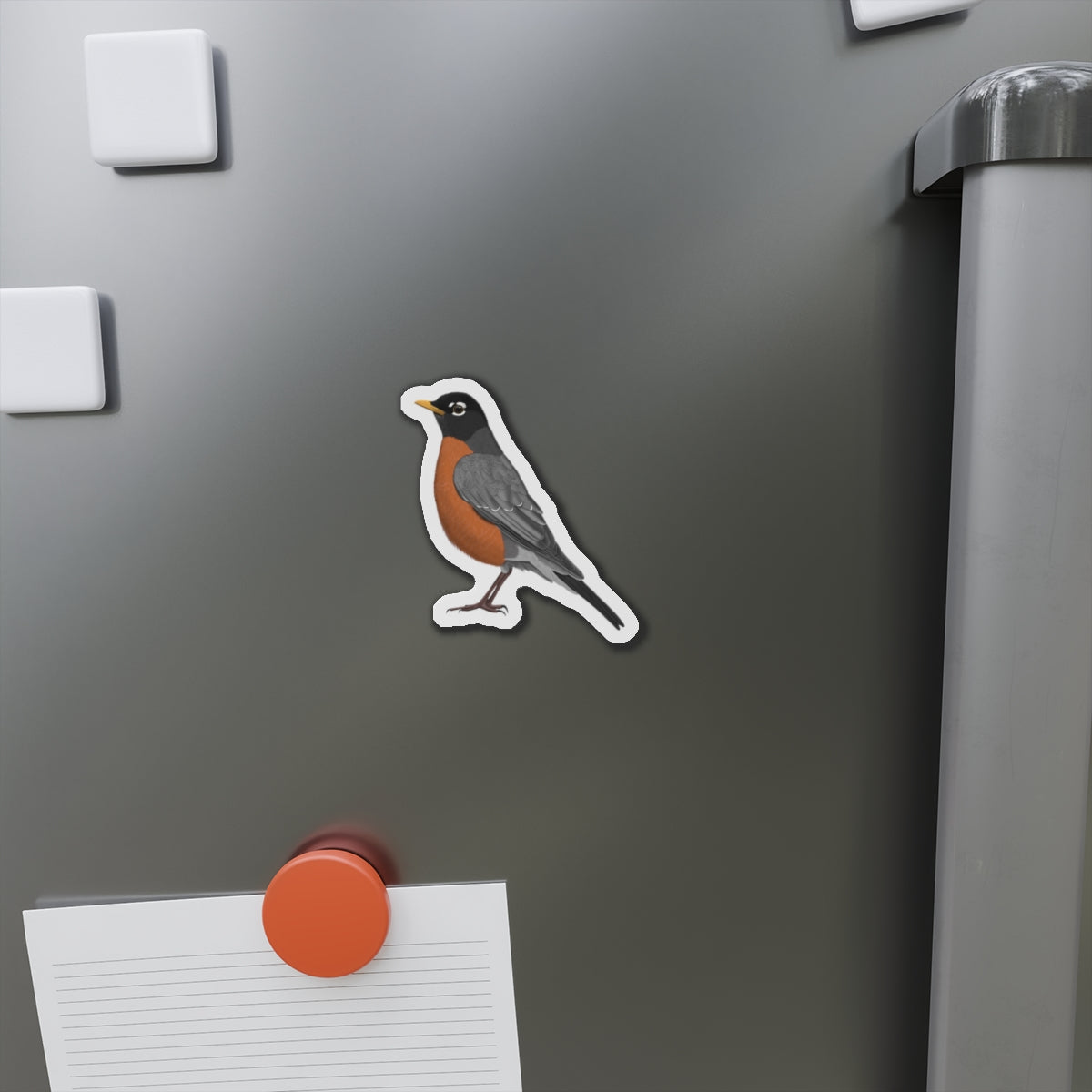 Robin Bird Magnet