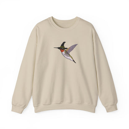 Hummingbird Halloween Birds Witch Birdwatcher Sweatshirt