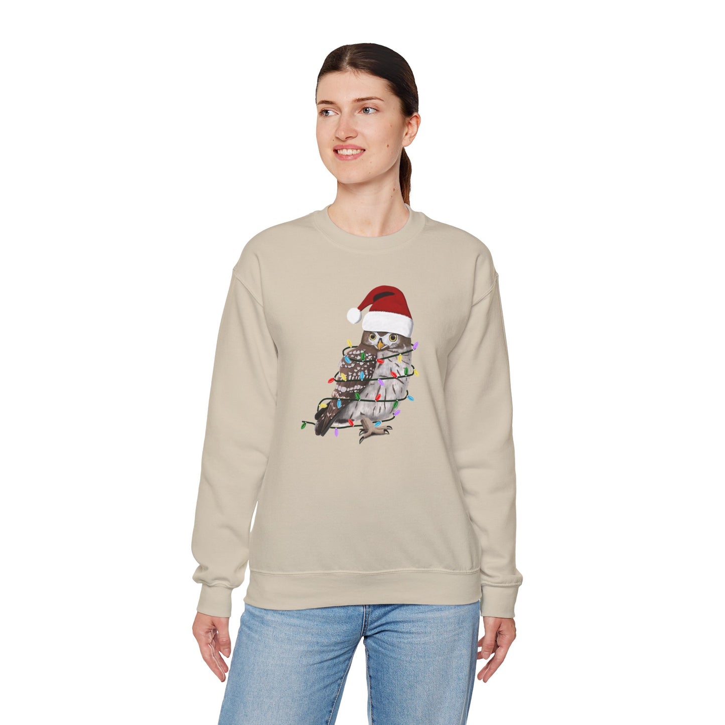 Owl with Fairy Lights Santa Claus Christmas Bird Sweatshirt