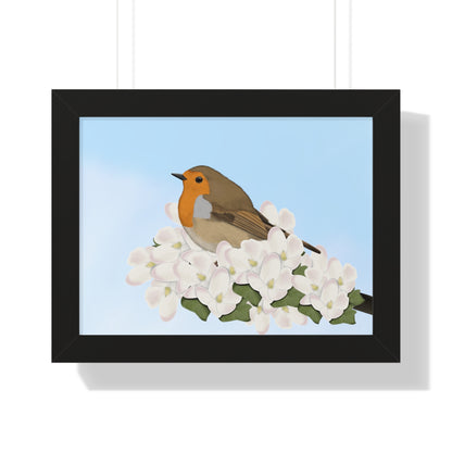 Robin Spring Blossoms Bird Framed Poster