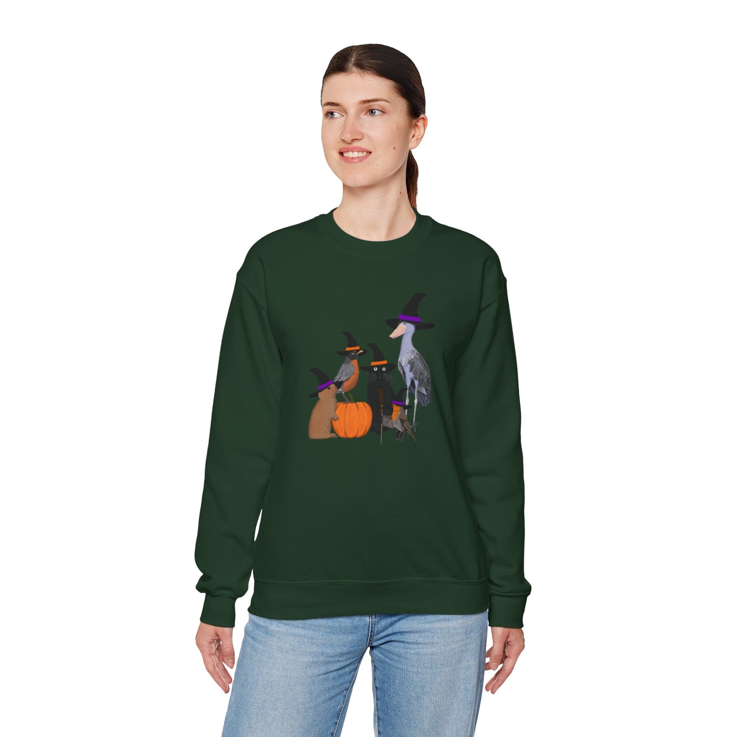 Robin Shoebill Rabbit with Cat Happy Halloween Birds Sweatshirt