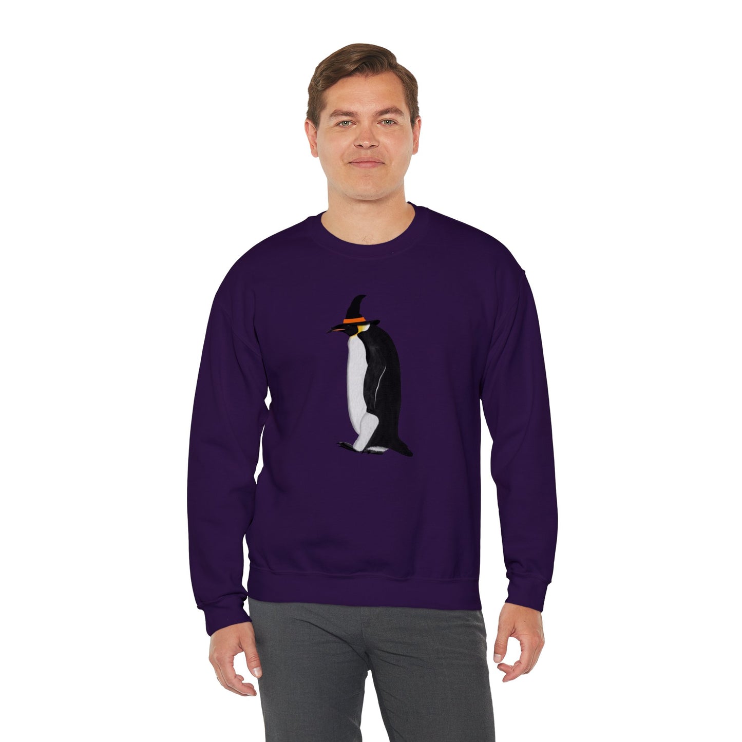 Penguin Halloween Birds Witch Birdwatcher Sweatshirt