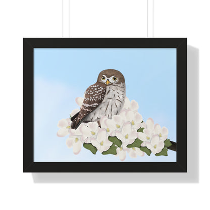 Little Owl Spring Blossoms Bird Framed Poster