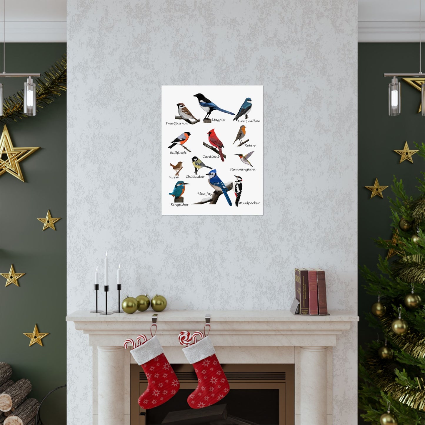 Backyard Birds Blue Jay Cardinal Hummingbird Matte Bird Poster