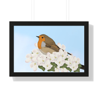 Robin Spring Blossoms Bird Framed Poster