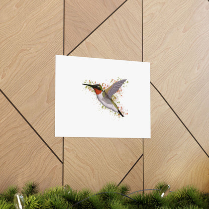 Hummingbird Bird Artwork Matte Poster