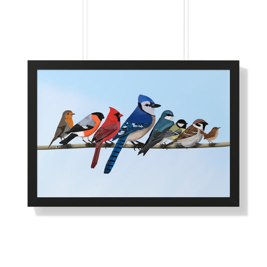 garden birds blue jay cardinal bullfinch wren framed bird poster
