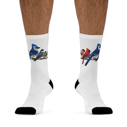 Garden Birds Blue Jay Cardinal Bullfinch Birding & Birdwatching Bird Socks White