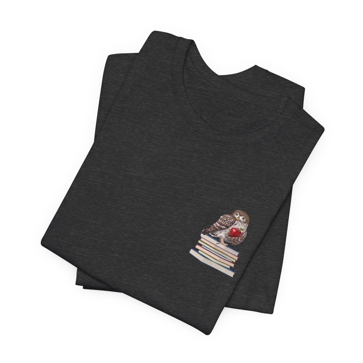 Cute Owl on Books Teacher Shirt – Back to School Red Apple Aesthetic
