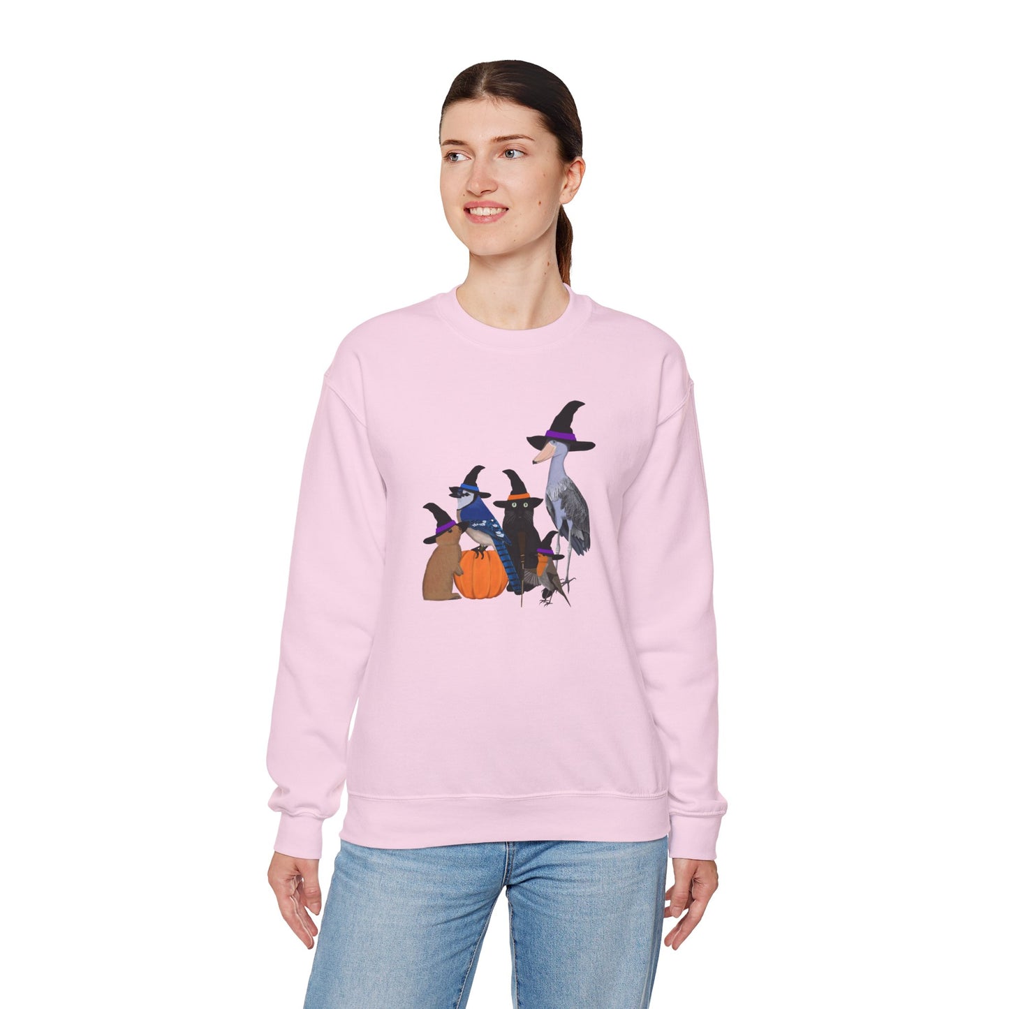 Robin Shoebill Blue Jay Rabbit with Cat Happy Halloween Birds Sweatshirt