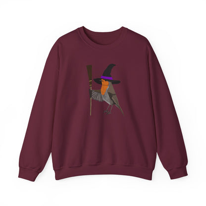 Robin Halloween Witch Birdwatcher Biologist Bird Sweatshirt