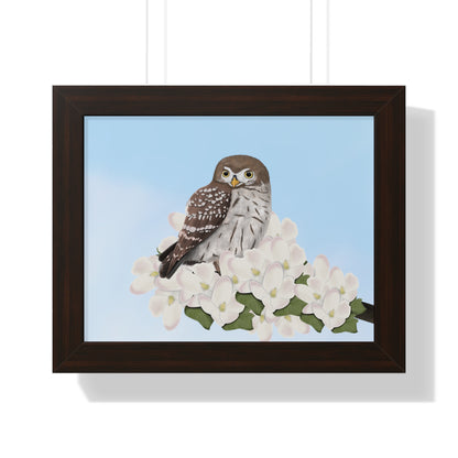 Little Owl Spring Blossoms Bird Framed Poster