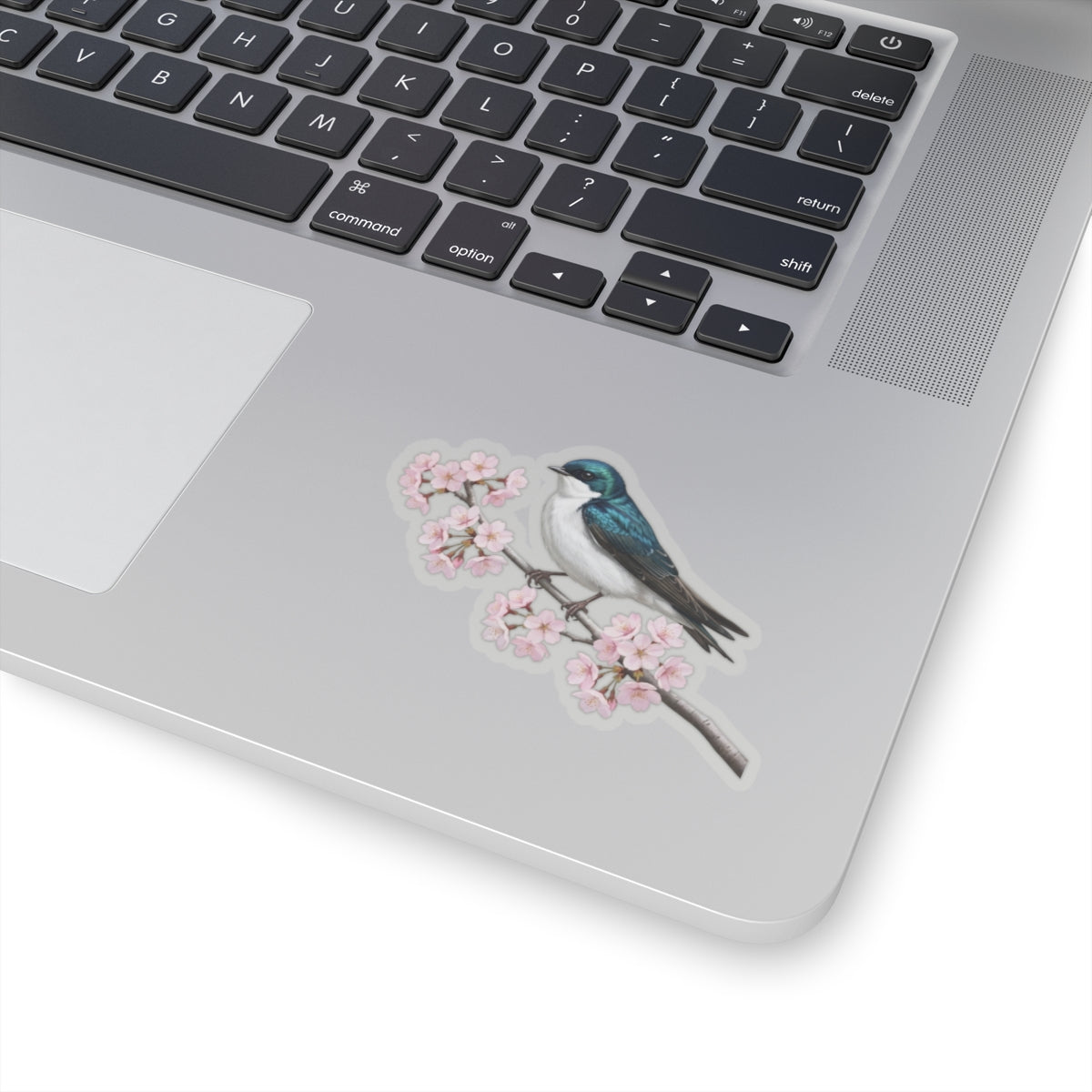 Tree Swallow Cherry Blossom Sticker | Glossy Floral Bird Decal | Spring Laptop Sticker