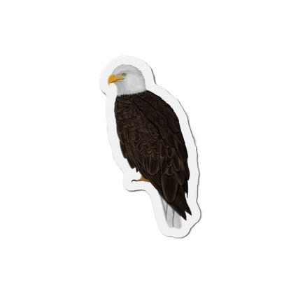 Bald Eagle Bird Magnet