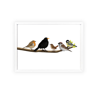 Vogel Poster im Holzrahmen - Vögel auf einem Ast Poster Amsel Rotkehlchen Zaunkönig Spatz Kohlmeise
