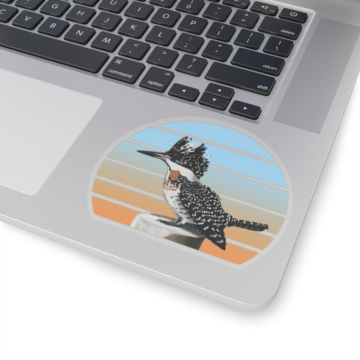 Crested Kingfisher Bird Sticker