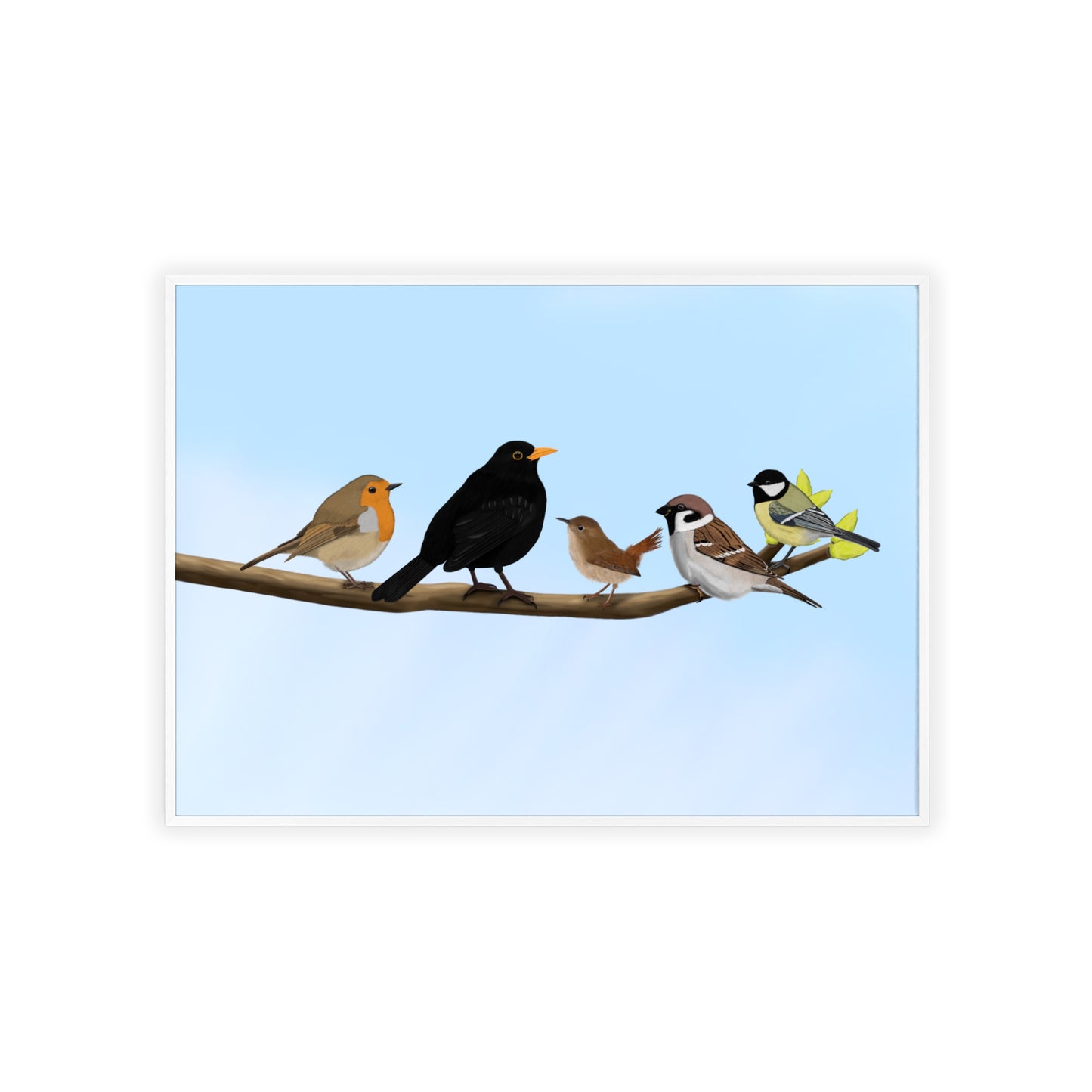 Vogel Poster im Holzrahmen - Vögel auf einem Ast Poster Amsel Rotkehlchen Zaunkönig Spatz Kohlmeise