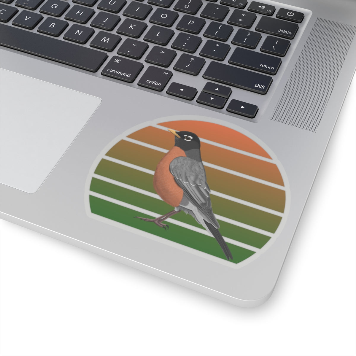 Robin Bird Sticker