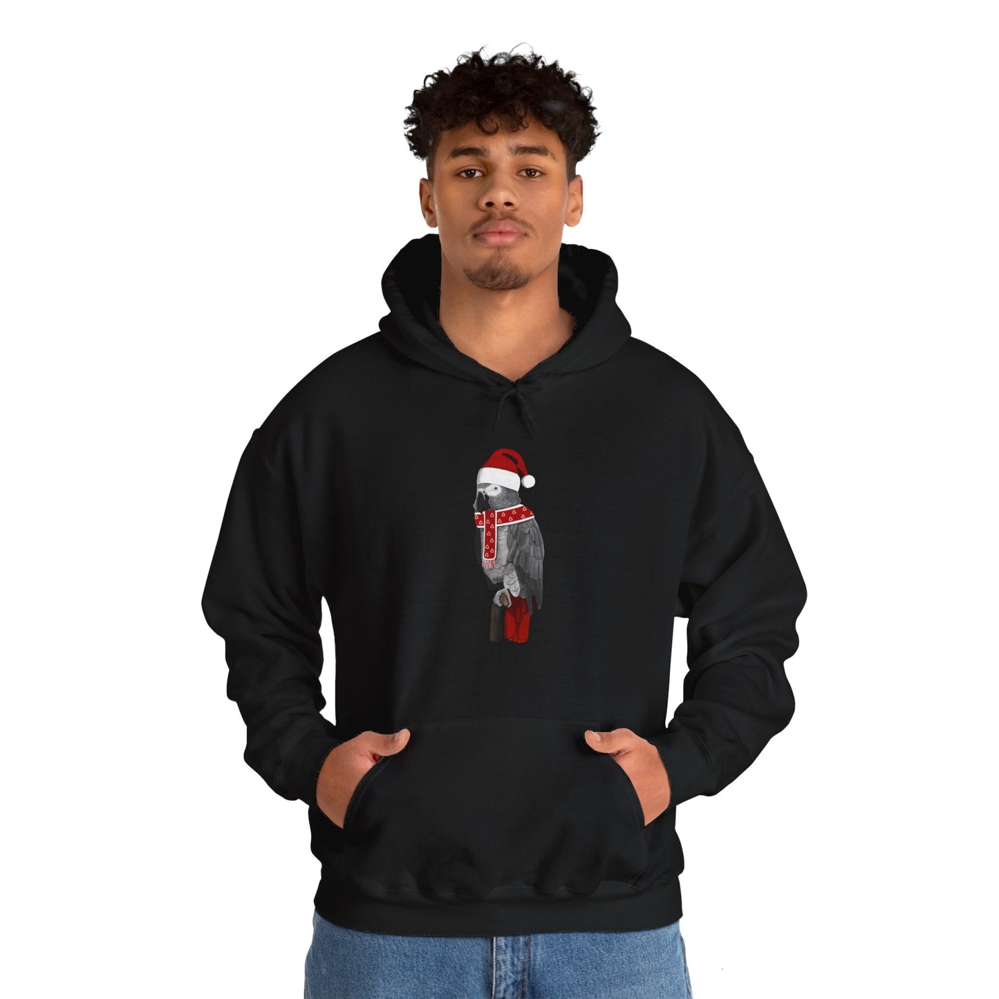 Grey Parrot Christmas Bird with Santa Hat Birdwatcher Birdlover Hoodie