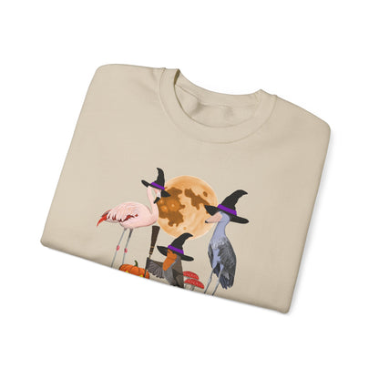 Robin Flamingo Shoebill Halloween Birds Witch Birdwatcher Sweatshirt