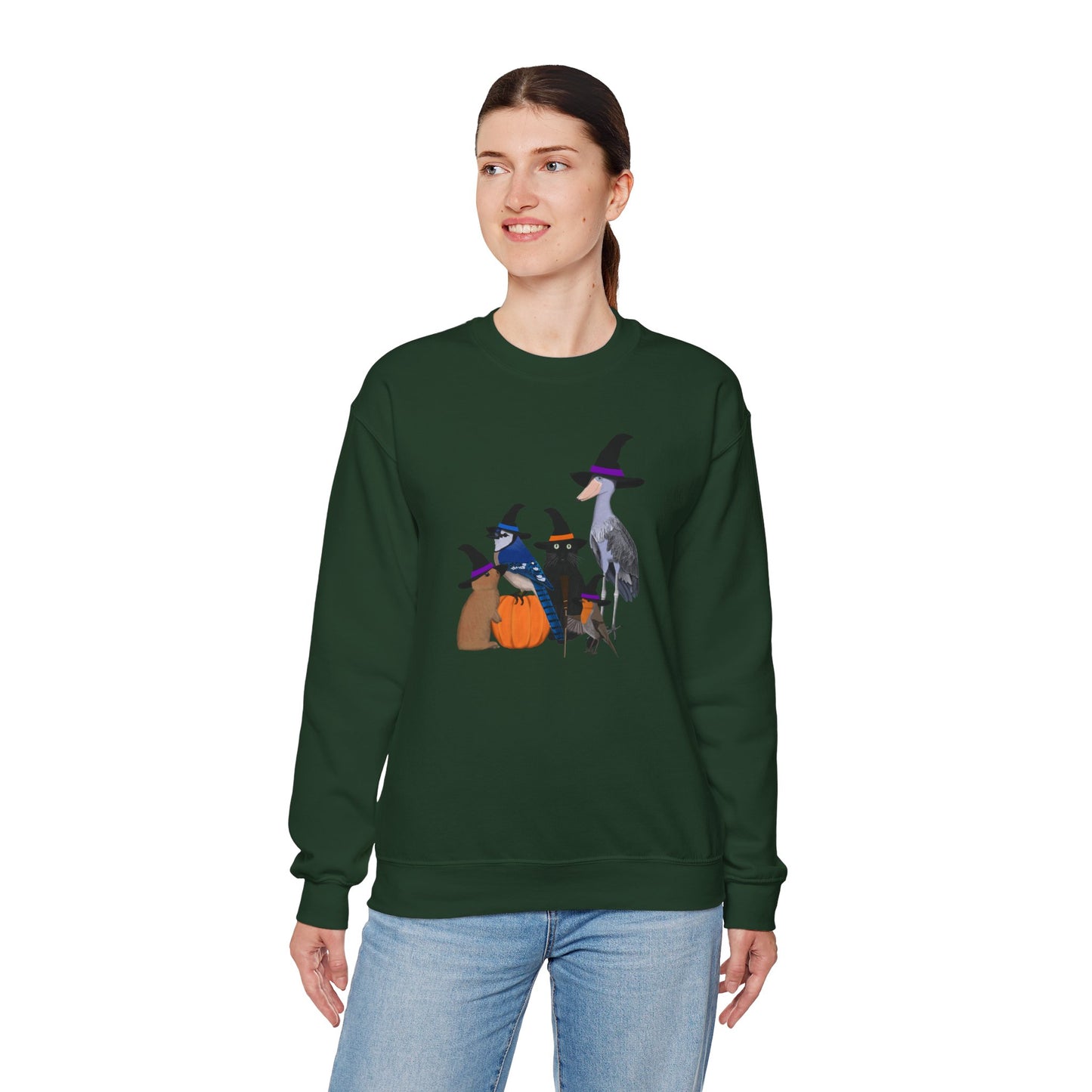 Robin Shoebill Blue Jay Rabbit with Cat Happy Halloween Birds Sweatshirt