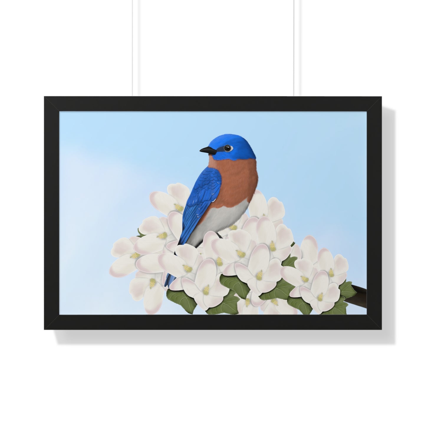 bluebird bird art framed poster