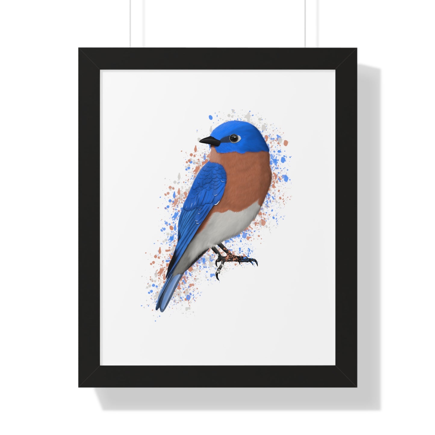 Bluebird Bird Framed Poster