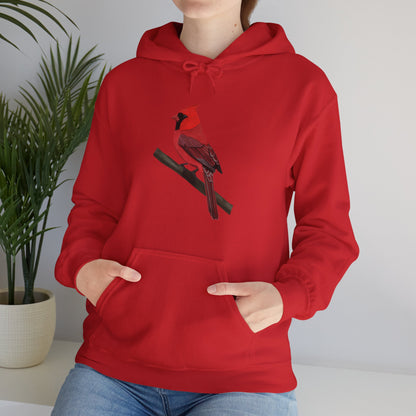 Cardinal Bird Birdwatching Birder Hoodie