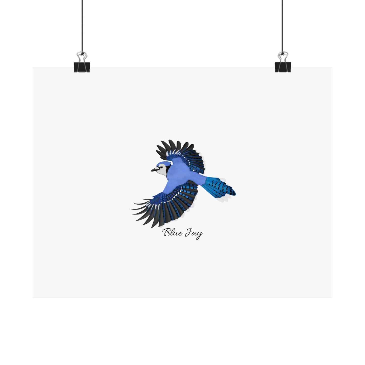 Blue Jay Bird Birding Matte Poster