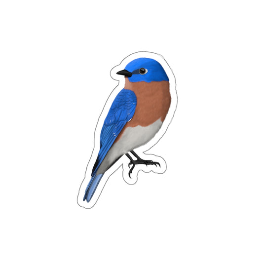 Eastern Bluebird Bird Kiss-Cut Sticker