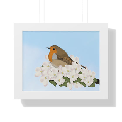 Robin Spring Blossoms Bird Framed Poster