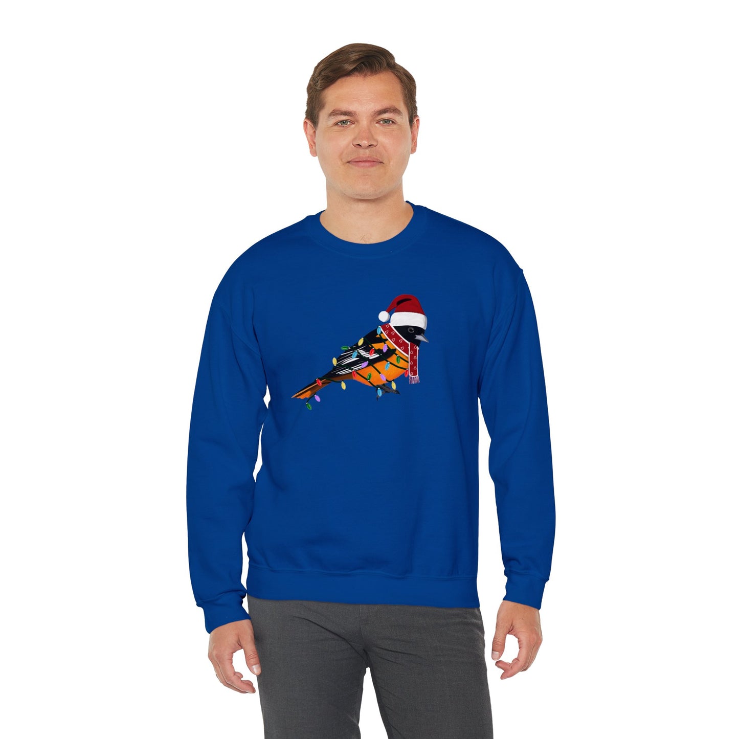 Baltimore Oriole with Fairy Lights Santa Claus Christmas Bird Sweatshirt